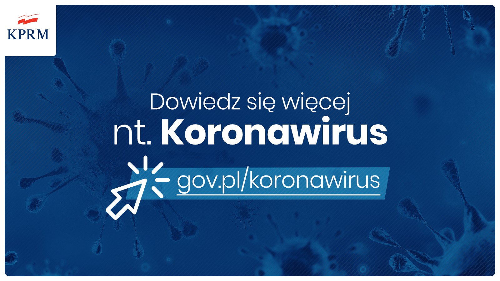 Pomoc w organizacji szpitali tymczasowych - Apel Wojewody